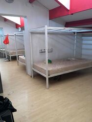 Mustafa Centre (D8), Shop House #451348161